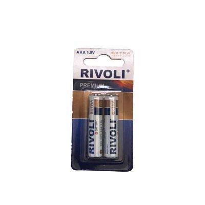 باتری نیم قلمی مدل RIVOLI-1 بسته 2 عددی