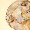 اطلس پرنکوف؛ کتاب نازی‌ها که هنوز جراحان به آن نیاز دارند