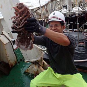 ‘سوسک غول‌پیکری’ که در کف اقیانوس زندگی می‌کند